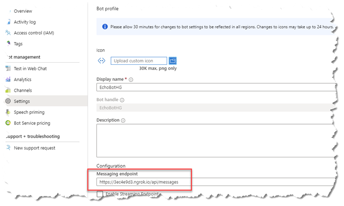 Azure Portal Bot Settings